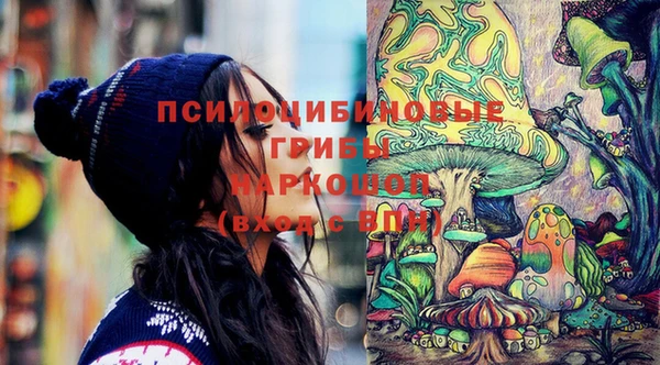соль курить ск Нея
