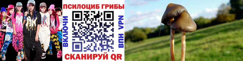 kraken   Яранск  Галлюциногенные грибы ЛСД 