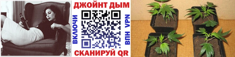 Каннабис индика Яранск